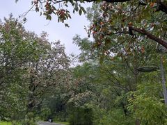 -秦始皇帝陵博物院-丽山园