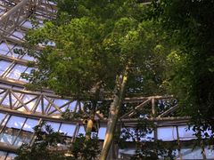 -郑州植物园