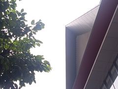 -四川大学博物馆
