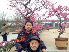-秀丽东方