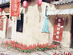 -合肥滨湖国家森林公园