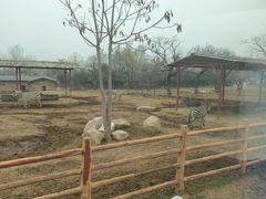 -西安秦岭野生动物园