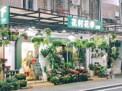 -溪岸路花鸟市场