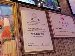 -新概念来凤鱼(璧山店)