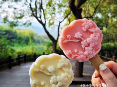 -国家植物园