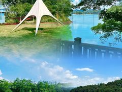 -广州市流溪河国家森林公园