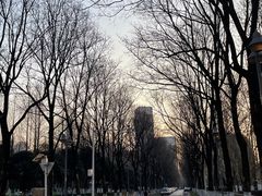 -后襄河公园