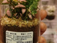 -万达广场(泰州海陵店)