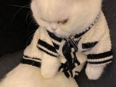 -无趣桌游狼人杀店