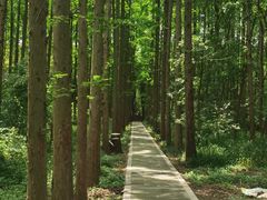-同里国家湿地公园