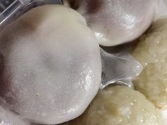 双酿团-王家沙点心店(南京西路总店)