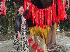 -瑞丽独树成林风景区