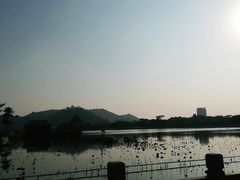 -顺峰山公园