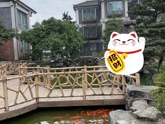 -老幺泉水鸡