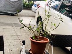 -BIRR COFFEE小熊咖啡(鸿瑞店)