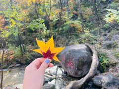 -玉渡山自然风景区