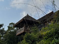 -三亚亚龙湾人间天堂鸟巢度假村