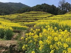 -江湾牛蹄馆