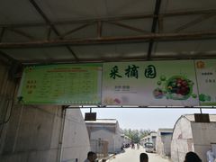 -万源龙顺度假庄园生态观光园