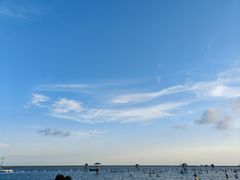 -碧海金沙