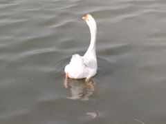 -天津东丽湖风景区