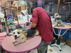 -FAELING PETS美天灵宠物(富力广场店)