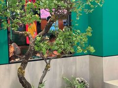 -蛙小侠(五象万象汇店)