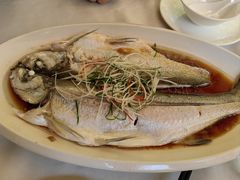 清蒸白条-春暖花开(西溪店)