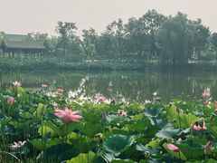 -西海子公园