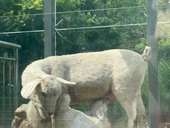 -西安电影制片厂