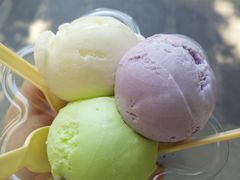 -成裕雪糕店(士多店)