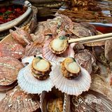 大连坠有特色的海鲜烧烤~有趣又好吃！！