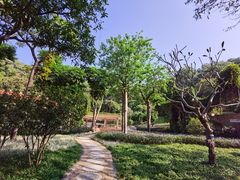 -云溪植物园