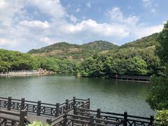 -白马涧龙池景区