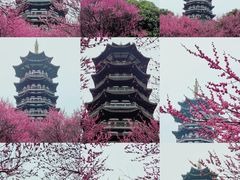 -洋湖国家湿地公园