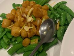 xo酱炒元贝-上海1号私藏菜(静安店)