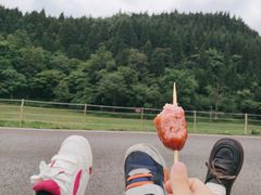 -武陵山森林公园