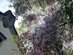 -深圳国际园林花卉博览园