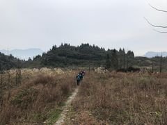 -山王坪喀斯特国家生态公园