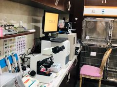 -宠爱国际动物医院·疑难骨科·心肾内科·皮肤科(太阳宫店)