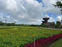 -芒洲湿地公园