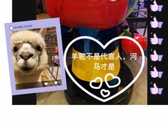 -盒马X会员店(王府井奥莱UP TOWN店)