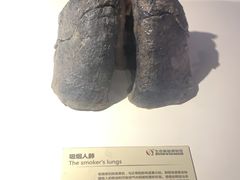 -生命奥秘博物馆