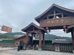 -广州神农草堂中医药博物馆
