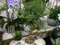 -淘花源花艺鲜花店 开业花篮 绿植(南部商务区店)