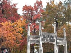 -灵岩山风景区