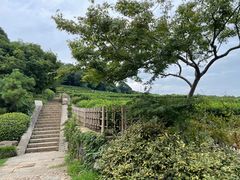 -中国茶叶博物馆(双峰馆区)