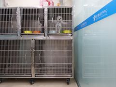 -菲尔斯特宠物医院