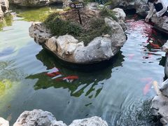 -麒麟小院·老九江菜(安平路店)