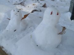 -北海道神宫